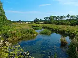 Приток реки Оредеж в д. Большое Заречье