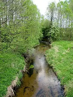 Промша у деревни Устье