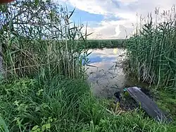 «Ивовая река» — Исап. До озера Ильмень 1-й на картах обозначается как протока