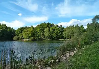 Пруд в Ботаническом саду