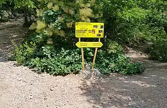 Путевой знак по дороге к водопаду