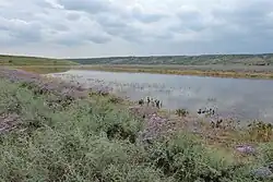 Устье Балая