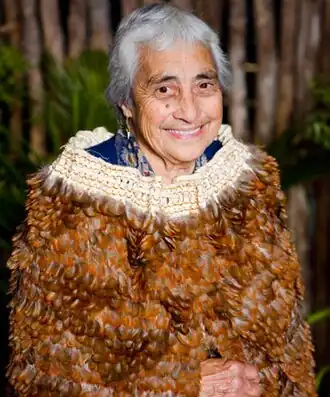 Хетет в плаще из перьев