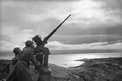 Расчет советской 20-мм зенитной пушки «Эрликон» на побережье в освобожденной Керчи