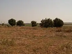 Резиденция Хрисалиска