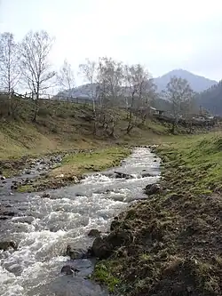 Нижнее течение реки Анос около устья в одноимённом селе весной 2009 года