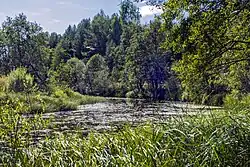 Река Ацвеж на границе Котельничского и Свечинского районов