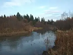 Барзас у с. Нижняя Суета