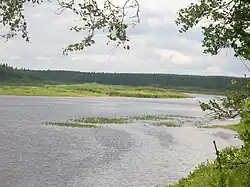 Река в нижнем течении