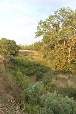 Река Гумс в окрестностях села Илсхан-юрт