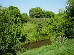 Река Девица у города Семилуки