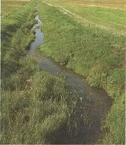 Иллюстрация из энциклопедии «Природа Беларуси. Том 2. Климат и вода»