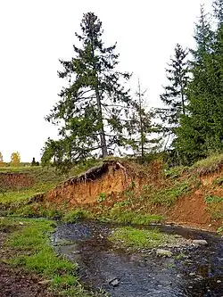 Река Жаба под деревней Карасёво