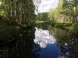 Вид против течения