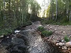 Вид против течения