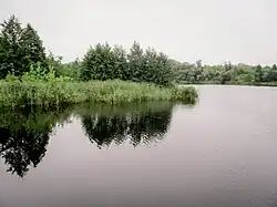 Колпь в Красной Горбатке