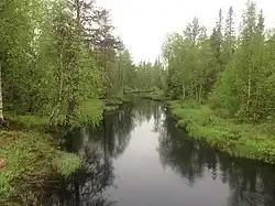 Вид по течению