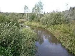Лёнва в нижнем течении возле села Балахонцы.
