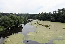 Река Лопасня между деревней Попово и военным городком Нерастанное
