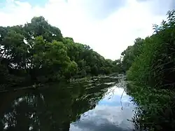 Река Лужа в районе деревни Шемякино