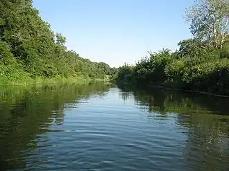 Медведица в районе с. Озерное, Аткарский район