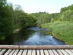 река Ненюшка с моста недалеко от впадения в Кокшеньгу