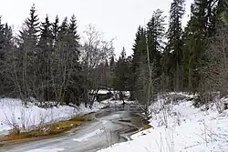 Вид на нижнее течение Прутницы около устья в феврале 2025 года