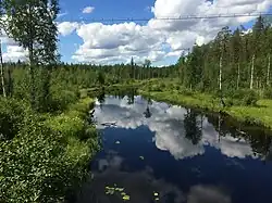 Вид против течения