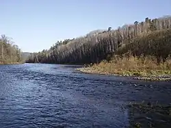 Река Хор у села Бичевая