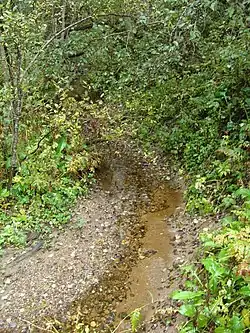 Вблизи истока. Христофорова пустынь