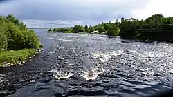 Река Шуя при впадении в Вагатозеро