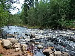 Река Ящера недалеко от Мшинских садоводств