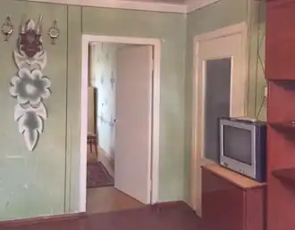 Интерьер комнаты с оригинальными дверями и покрашенным полом