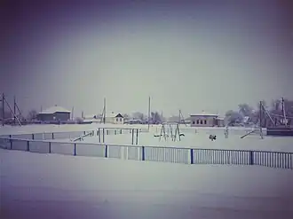 Репино зимой