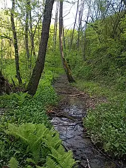 Родник Исмаилийн шовда на южной стороне города.