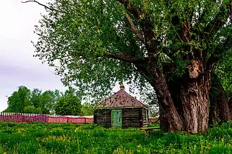 Родник (Святой родник) с. Комаровка (Новоспасский район).
