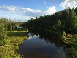 Вид против течения