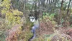 Приустьевая часть