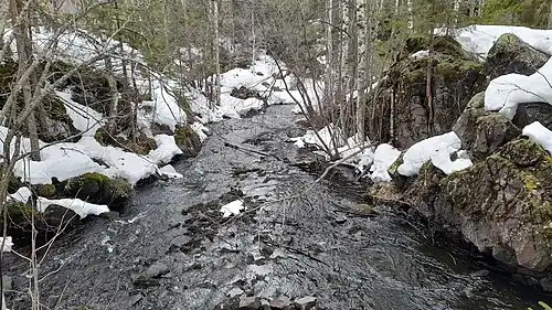 Ручей около Кивача в Карелии