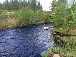 Ручей в пст. Боярская