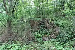 Фрагменты усадьбы Толлочко