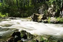 Низовье реки летом