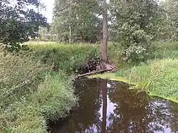 Вяча в Логойском районе