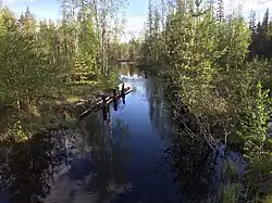 Вид по течению