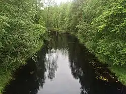 Вид в сторону Онежского озера