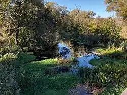 у села Карякино