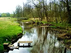 Пульва в Высоком