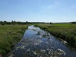 у деревни Селище