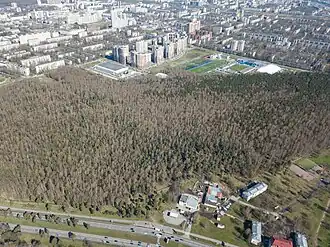 Пискарёвский парк4 февраля 2024