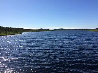 Вид на юг. Сарсаярви летом 2020 года.